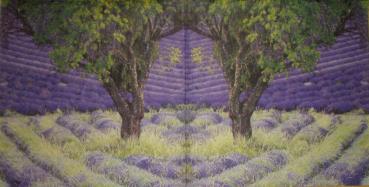 014 Lavender