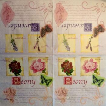 643 Roses - 3-ply (4985)