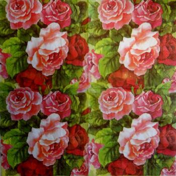 653 Roses - 3-ply