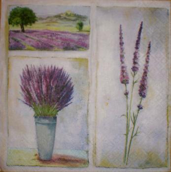 021 Lavender - 3-ply - CS