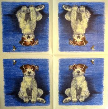 151 Dogs - 3-ply (blue)
