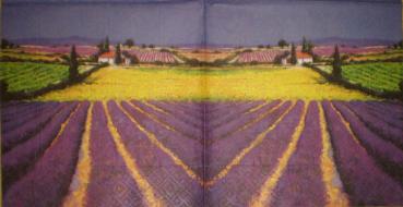 029 Lavender - 3-ply