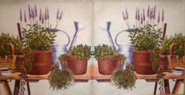 035 Lavender - Heigl