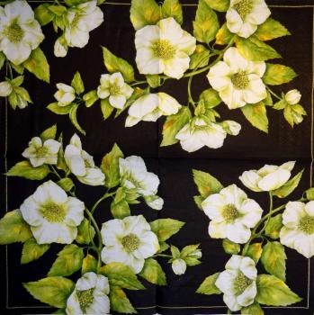 251 Rosen - 3-lagig (schwarz) - Ihr