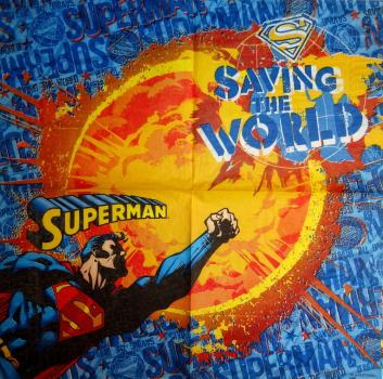 324 Bekannte Figuren - 2-lagig (14580) - Superman