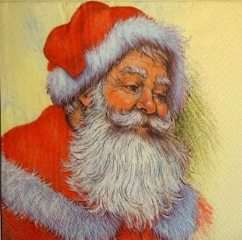 060 Santa Others - 3-ply (cream) - Home Fashion