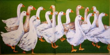 013 Ducks - 3-ply (grün) - Ihr