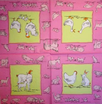 042 Ducks - 3-ply (pink) - Ihr