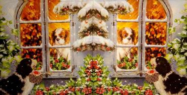 212 Hunde - 3-lagig - Ambiente