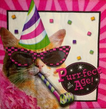 168 Katzen - 3-lagig