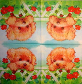 189 Hunde - 3-lagig