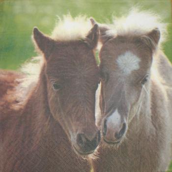 005 Horses - 3-ply - Ti-Flair