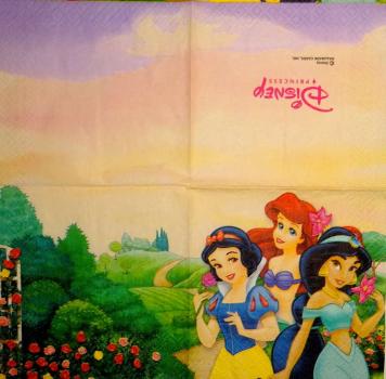 245 Mädchen - 2-ply - Disney Princess - CS