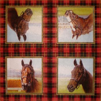 045 Horses - 3-ply (red/black) - Ihr