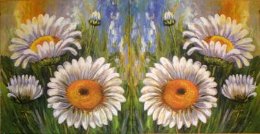 043 Daisies - 3-ply