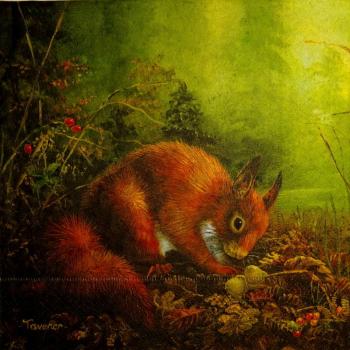 051 Eichhörnchen - 3-ply - Tavener
