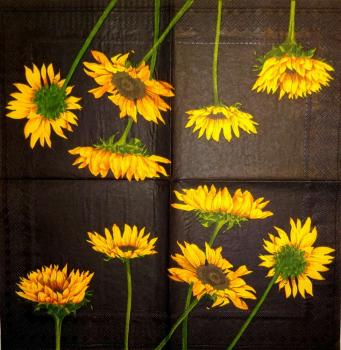 168 Sunflowers - 3-ply - Ambiente