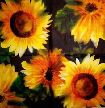 092 Sonnenblumen - 3-lagig (schwarz) - Ihr