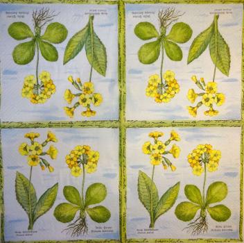 316 Flowers Others - 3-ply (blue)