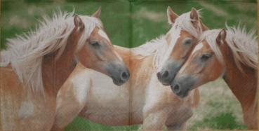 033 Horses - 3-ply