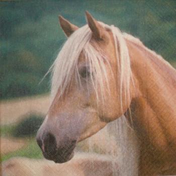 034 Horses - 3-ply