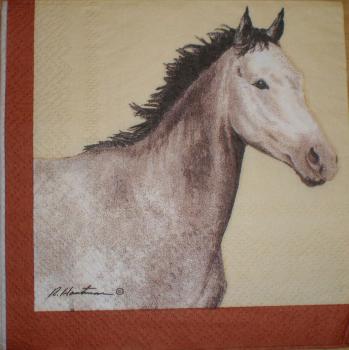 057 Horses - 3-ply (weiß) - Cypress - Robert Hautman - CS