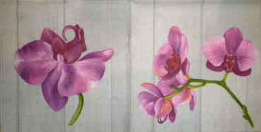 003 Orchids - CS
