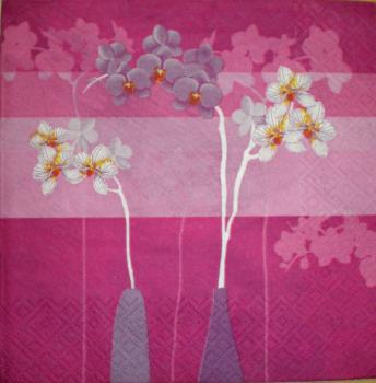 012 Orchids