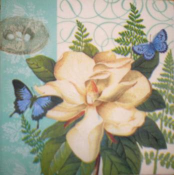 001 Magnolias (1) - Paula Scaletta