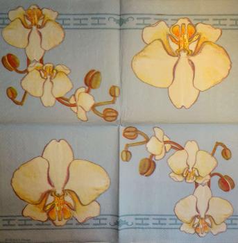 069 Orchideen - 3-lagig (blau/creme) - MOLCA