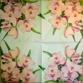 082 Orchids - 3-ply (grün) - Paw