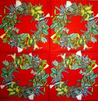 253 Vögel - 3-ply (red) - Ihr - Carol Lake
