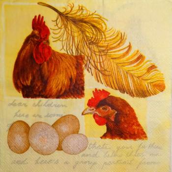 160 Hahn, Huhn - 3-lagig - Ambiente