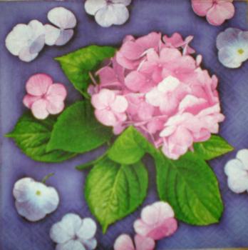 008 Hydrangeas