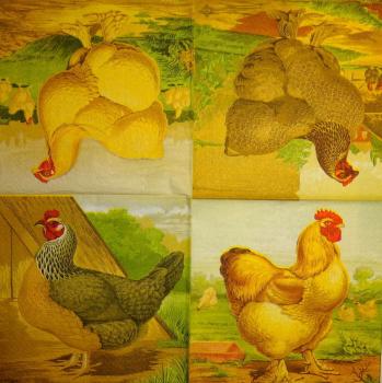 183 Hahn, Huhn - 3-lagig - Caspari