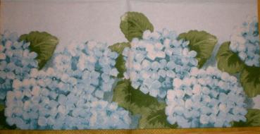 018 Hydrangeas