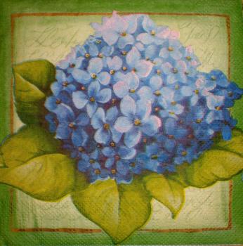023 Hydrangeas - 3-ply - CS - 22x22cm