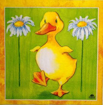 155 Ducks - 3-ply - Fasana