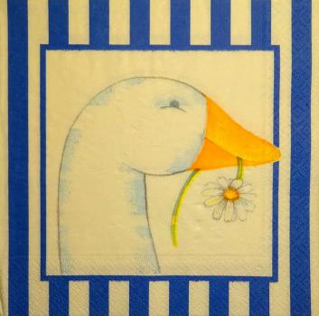 157 Enten - 3-lagig(blau)