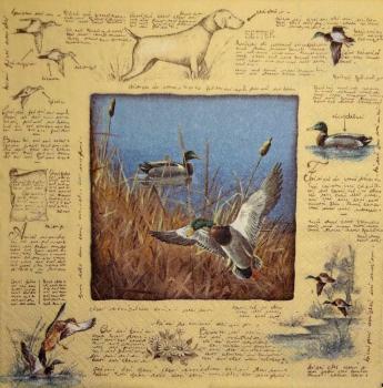 164 Ducks - 3-ply