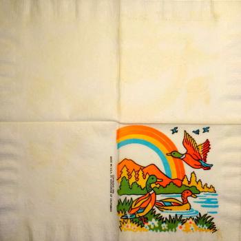 172 Enten - 3-lagig - Californien 1976 - CS