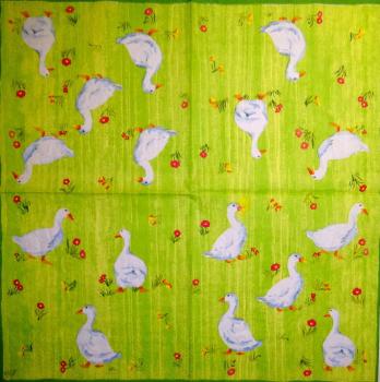 078 Ducks - 3-ply (grün) - Ihr