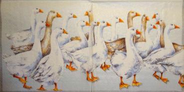 013 Ducks - 3-ply (silver) - Ihr