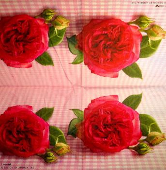 665 Roses - 3-ply (2360) - Stewo - Andrea Tilk