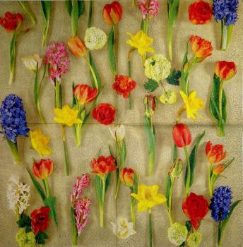 176 Tulpen - 3-lagig (creme) - Home Fashion