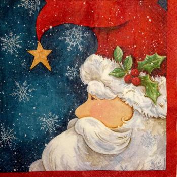 134 Weihnachtsmann Sonstige - 2-lagig - Diane Kater