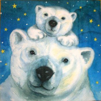 021 Eisbären