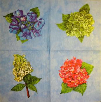 081 Hydrangeas - 3-ply - Picturel