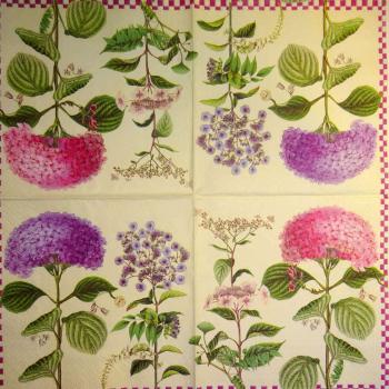 082 Hydrangeas - 3-ply