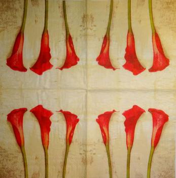 032 Calla - 3-lagig(rot) - Künstler
